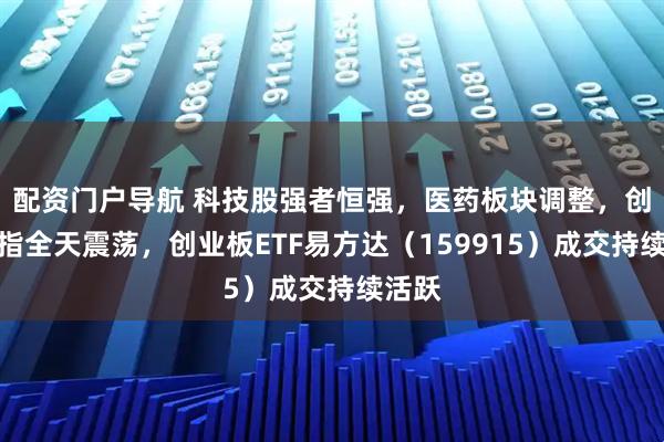 配资门户导航 科技股强者恒强，医药板块调整，创业板指全天震荡，创业板ETF易方达（159915）成交持续活跃
